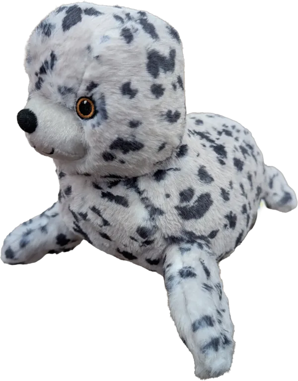 11 inch Harbour Seal