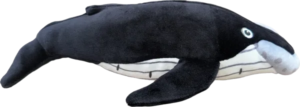 10 inch Humpback Whale