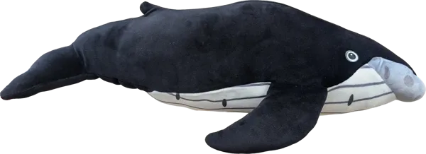 18 inch Humpback Whale