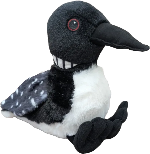 9 inch Loon