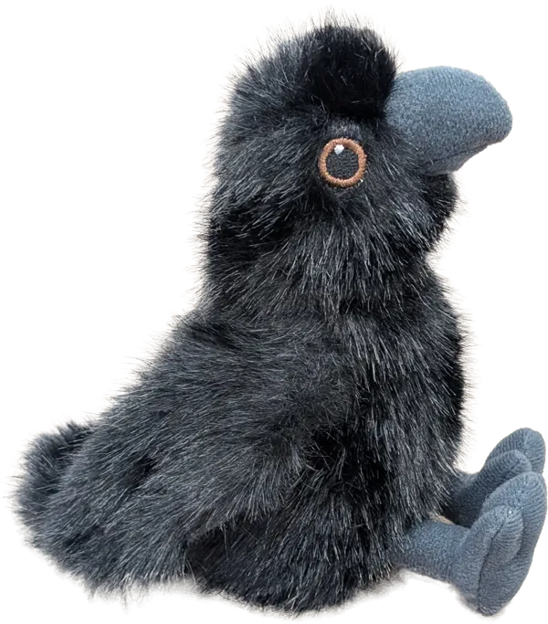 4.5 inch Raven