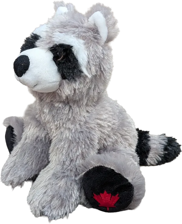 7 inch MapleFoot Raccoon