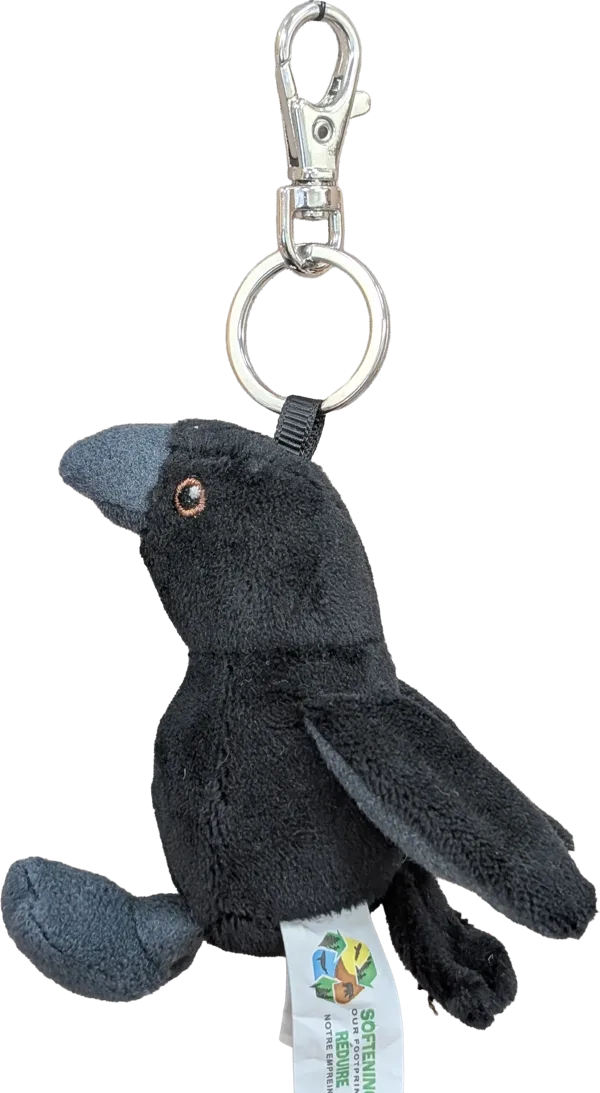 Zipper Pull, Raven