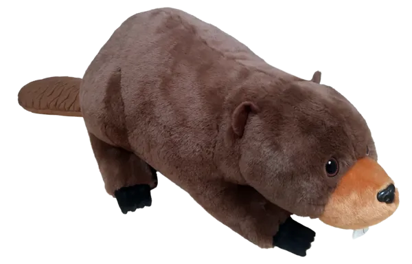 36 inch Natural Beaver