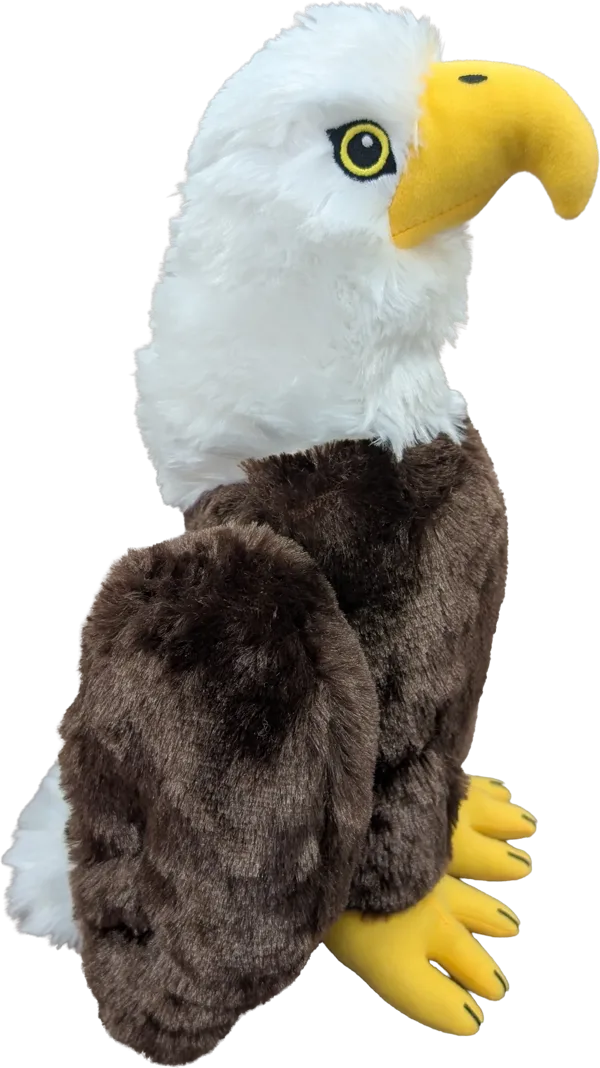 12 inch Eagle