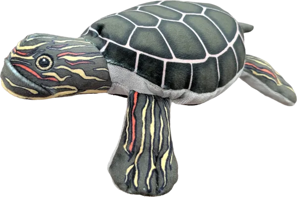 10 inch Painted Turtle