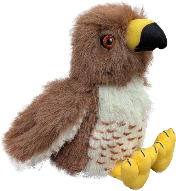 4.5 inch Red-tailed Hawk