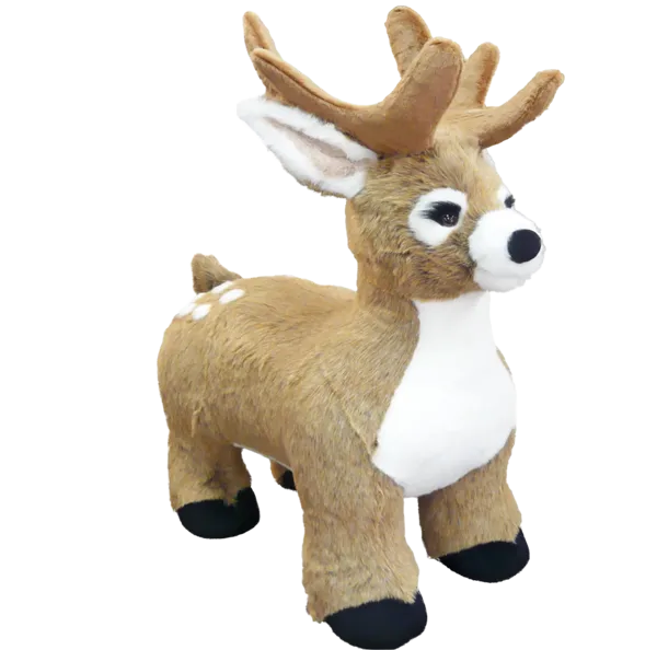 Display, Baby Deer (on all fours)