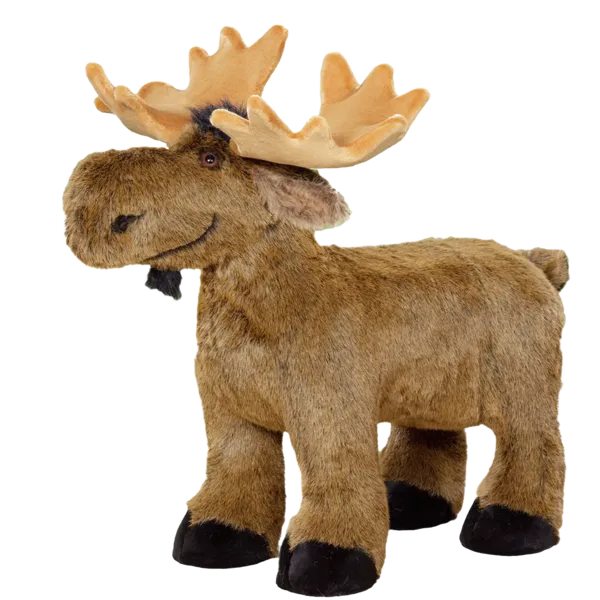 Display, Baby Moose (on all fours)