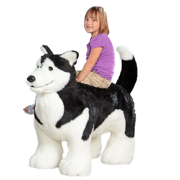 Display, Baby Black Husky (on all fours)