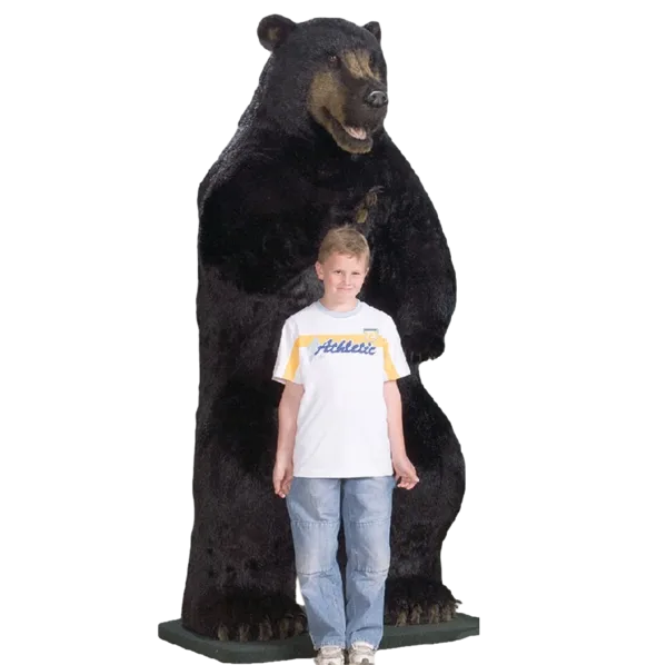 Display, 7 foot 6 inch Natural Black Bear