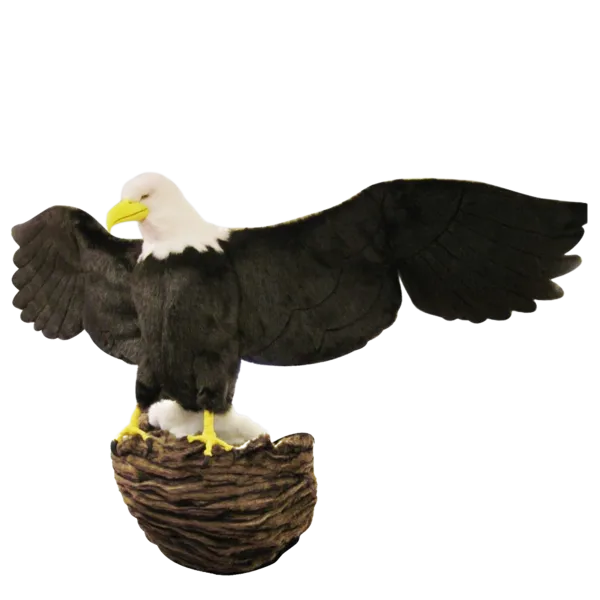 Display, Wall Hanging Eagle on Nest
