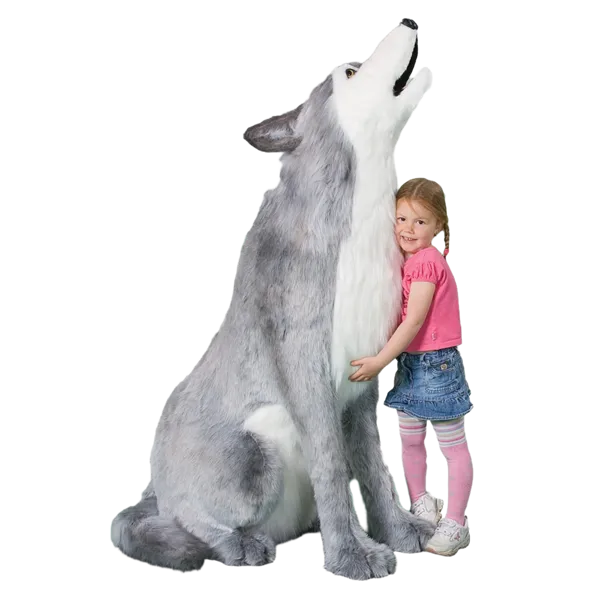 Display, 5 foot 4 inch Grey Wolf Howling