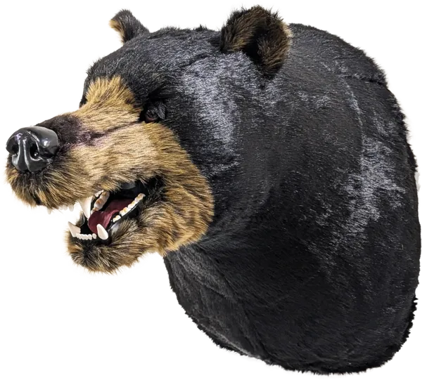 Display, Wall Hanging Black Bear Head