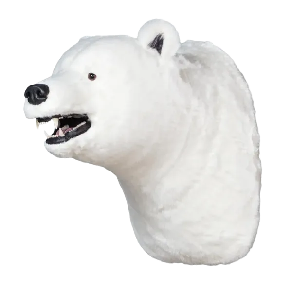 Display, Wall Hanging Polar Bear Head