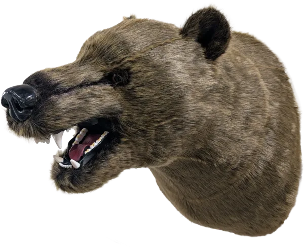 Display, Wall Hanging Grizzly Bear Head