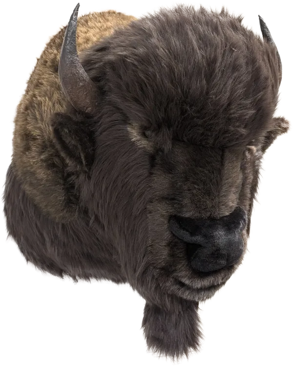 Display, Wall Hanging Buffalo Head