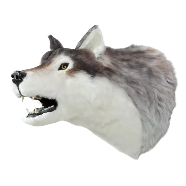 Display, Wall Hanging Wolf Head