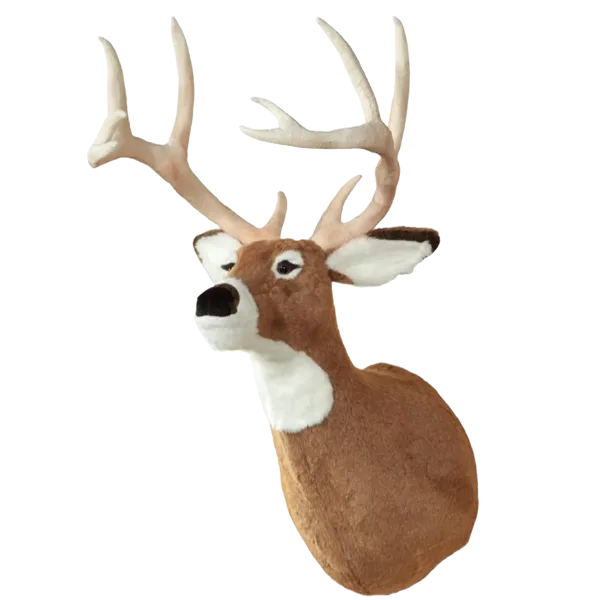 Display, Wall Hanging White-tailed Deer Head