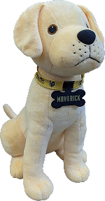 Custom plush dog for the Vegas Golden Knights
